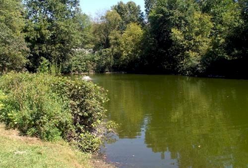 Twin Mills Rv Resort Howe Экстерьер фото